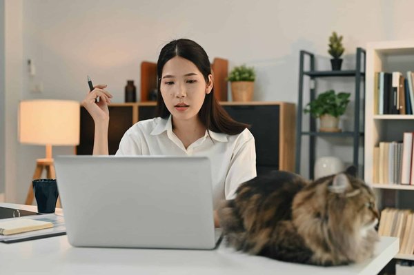 Formation comptabilité et gestion : conseils pour réussir